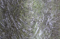 Egton fibreglass roof work